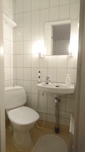 Hostal Guesthouse Golden Goose
