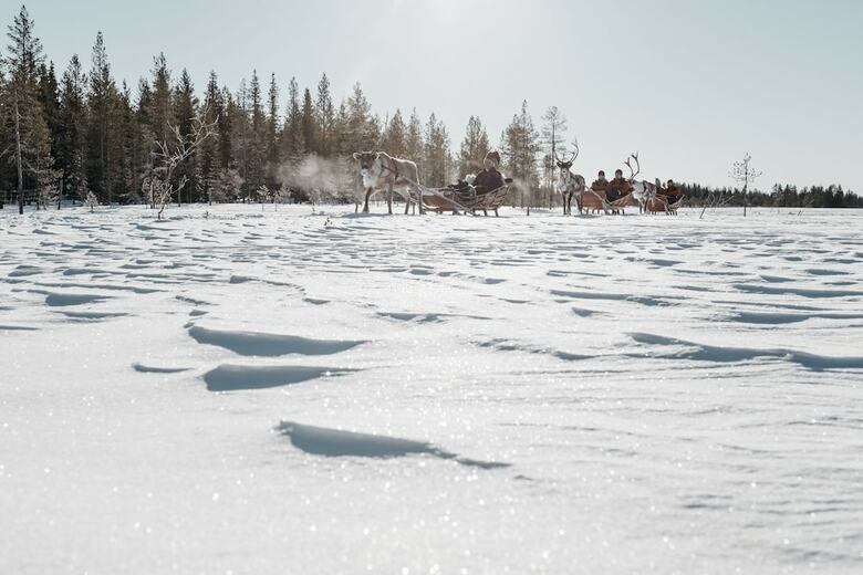 Lapland Hotel Hetta