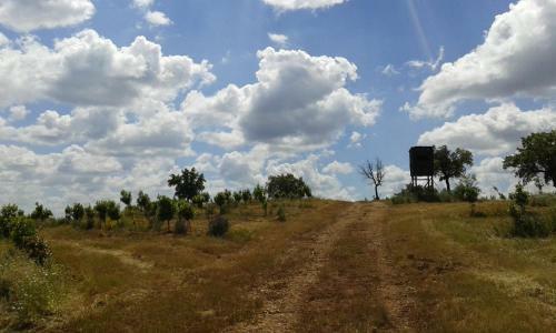 Hostal Herdade Do Rio Torto