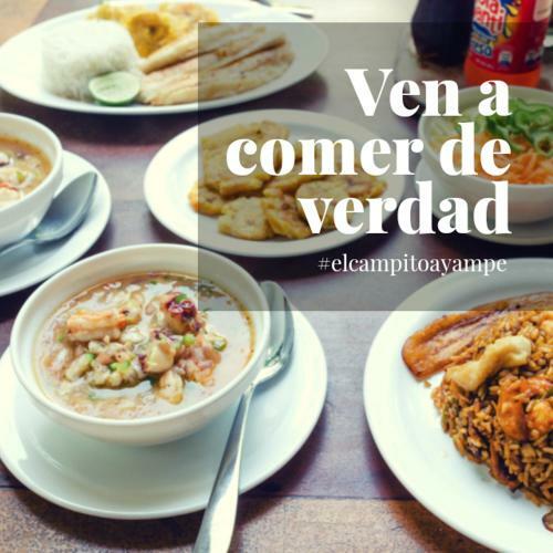 El Campito Art Lodge