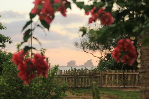 El Campito Art Lodge