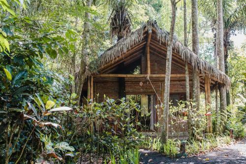 El Campito Art Lodge