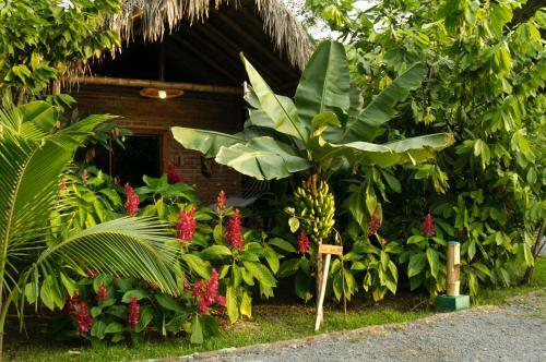 El Campito Art Lodge
