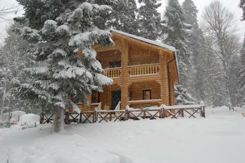 Hostal Guest House Lesogorie