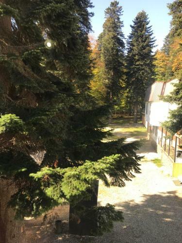 Hostal Guest House Turist