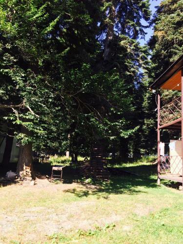Hostal Guest House Zvezda