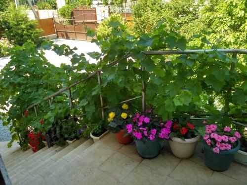 Hostal Raiskii Ostrovok Guest House