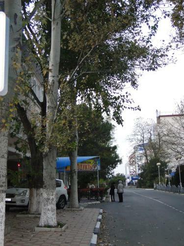 Apart Hotel Novosel