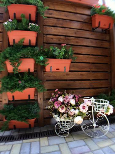 Hostal Guest House Kompliment