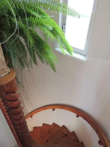 Hostal Domashniie Nomiera "gniezdo"