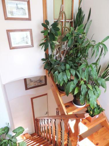 Hostal Domashniie Nomiera "gniezdo"