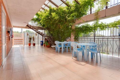 Hostal Guest House Oliva