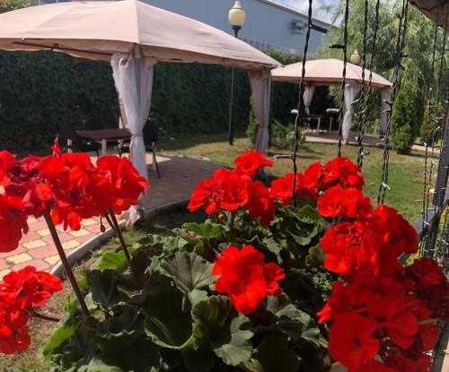 Hotel Myata