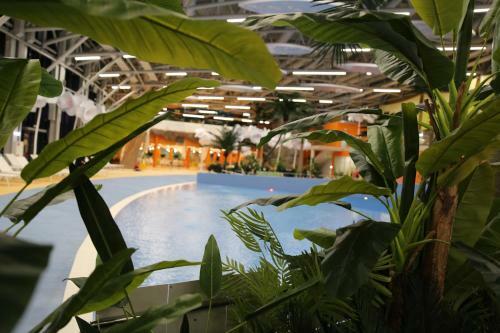 Hotel Riviera Wellness Resort