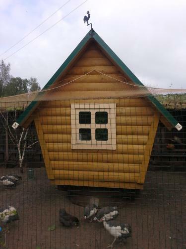 Hostal Usadba Belaya Gora