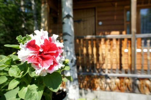 Hostal Guest House Fedorov Dvor