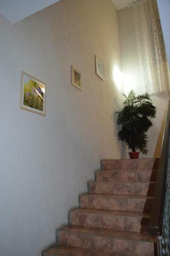 Hotel Aura