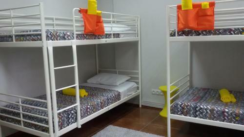 Albergue Vagon