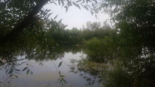Family House On The River