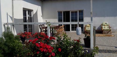 Sea-side Cottage With Terrace