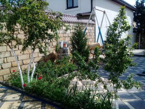 Hostal Guest House U Morya