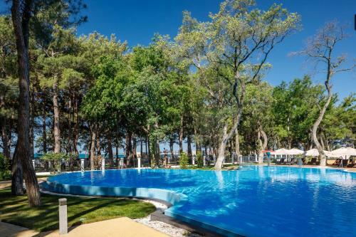 Primorie Grand Resort Hotel