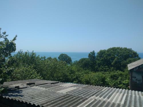 Hostal Golovinka
