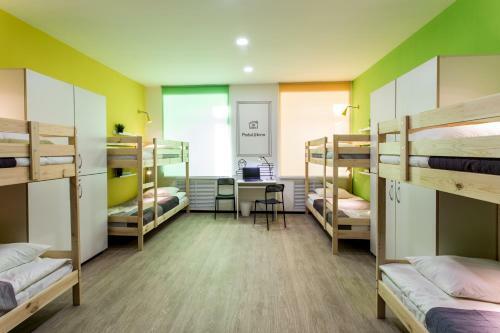 Albergue ?????????-?????? "podu?kinn"