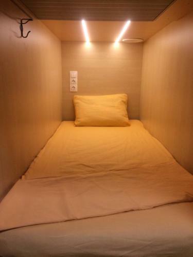 Albergue ?????????-?????? "podu?kinn"