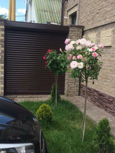 Hostal Guest House On Lermontova 48