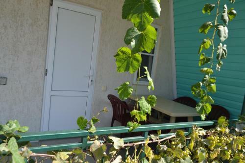 Hostal Guset House Chaika