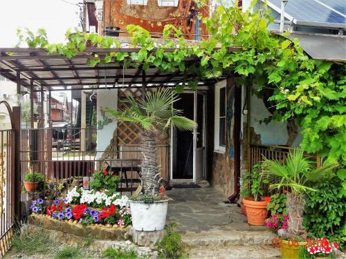 Hostal Guest House Azovsafari