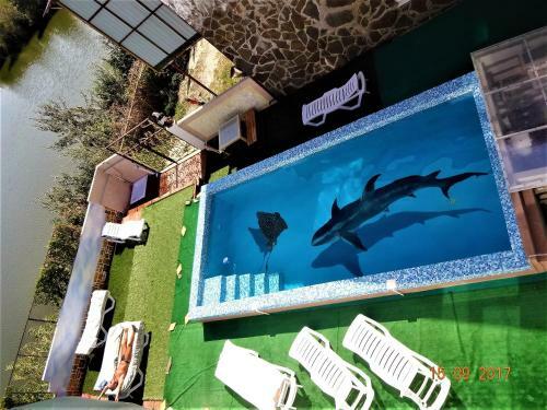 Hostal Guest House Azovsafari