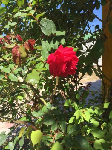 Hostal Baza Otdykha Yuzhniy Bereg