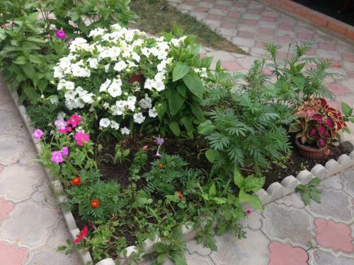 Hostal Guest House Miria