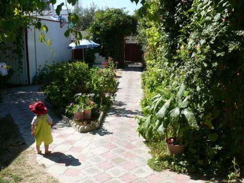 Hostal Guest House Miria