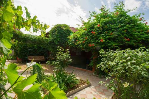 Hostal Guest House Miria