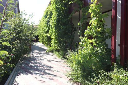 Hostal Guest House Leto