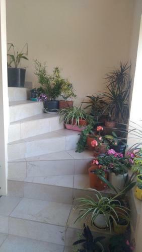 Hostal Guest House Leto