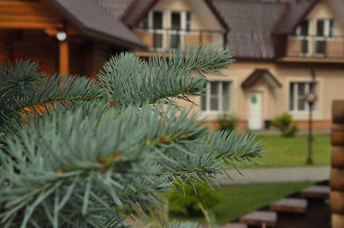 Hotel Complex Sosnoviy Bor