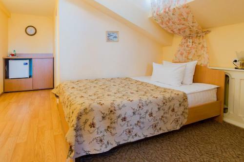 Hotel Okolitsa