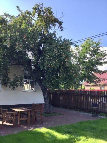 Hostal Guest House Shyogoleva