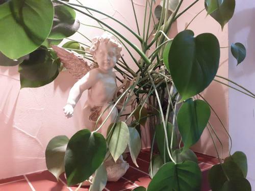 Apartamento Old Town U Korolevskikh Vorot