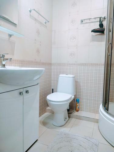 Apartment U Korolevskikh Vorot