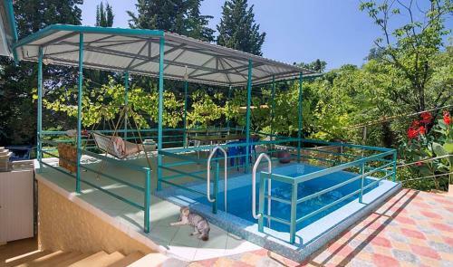Hostal Lazurny Bereg Guest House