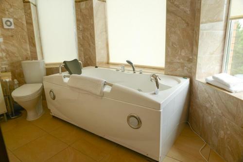 Hotel Alexandria Sheremetievo