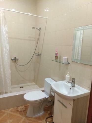 Hotel Alexandria Sheremetievo