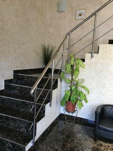 Posada Hotel 97