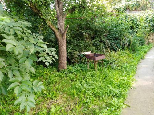 Holiday House Dacha