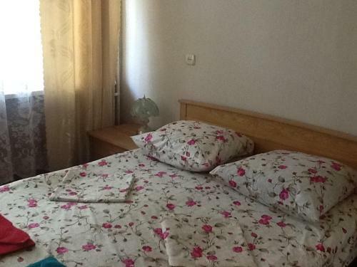 Hotel Pansionat Rodina